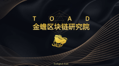 数字时代先行者，金蟾TOAD火爆创世