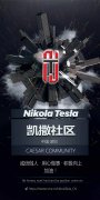 NKL——特斯拉（Tesla）旗下去中心化金融（DeFi）平台