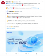 稳定币竞争下 TrueUSD与波场TRON的“快手式